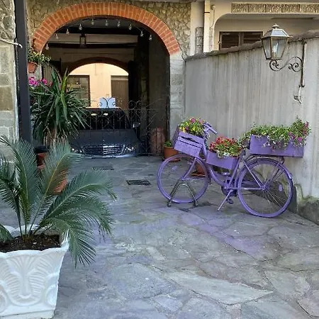 Bed & Breakfast Noemi *