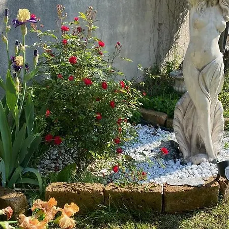 Noemi Bed & Breakfast *