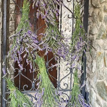 Noemi Bed & Breakfast Cameri